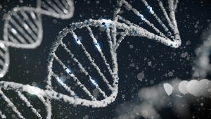A strand of DNA showing the genetic component to addiction.