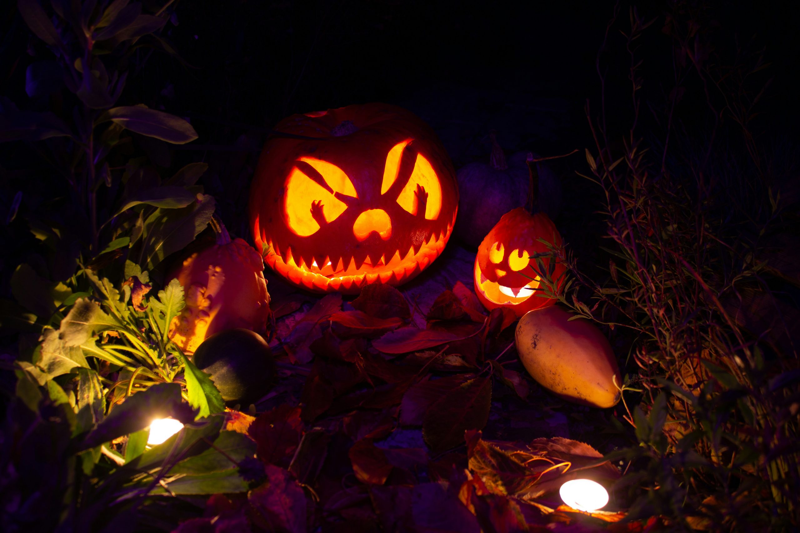 A picture of jack-o-lanterns showing the audience it is possible to achieve sobriety during Halloween parties.